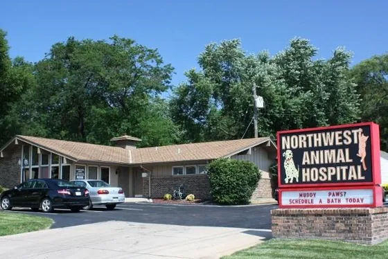 Our Hospital